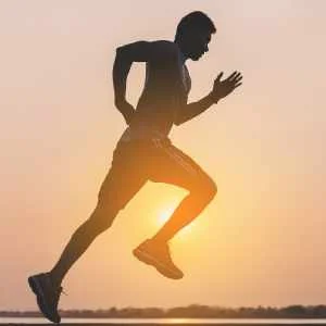 Prestige Palm Court
